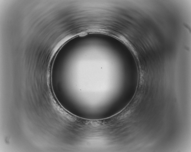 X0000103280955200808291308