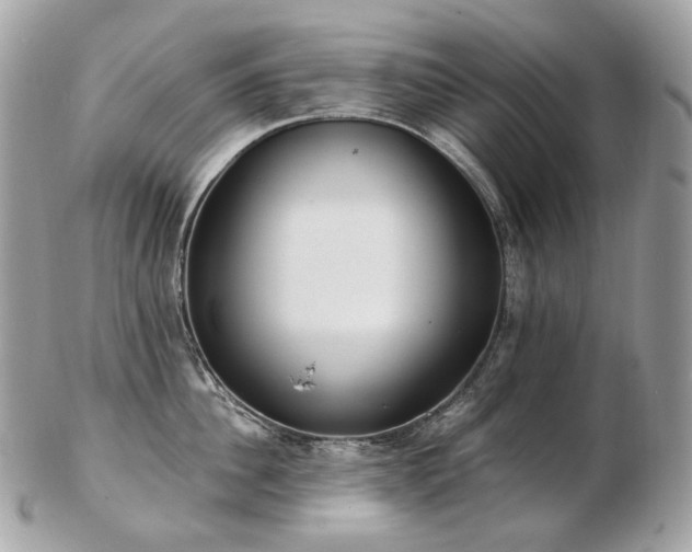 X0000103280956200808291308