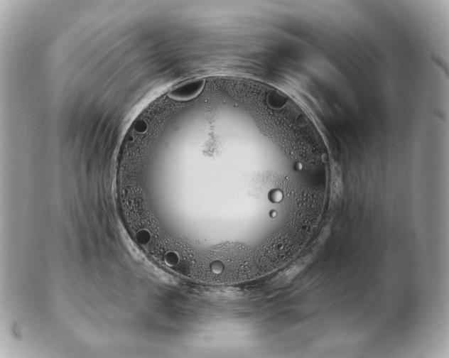 X0000103280957200808291308