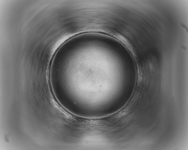 X0000103280958200808291308