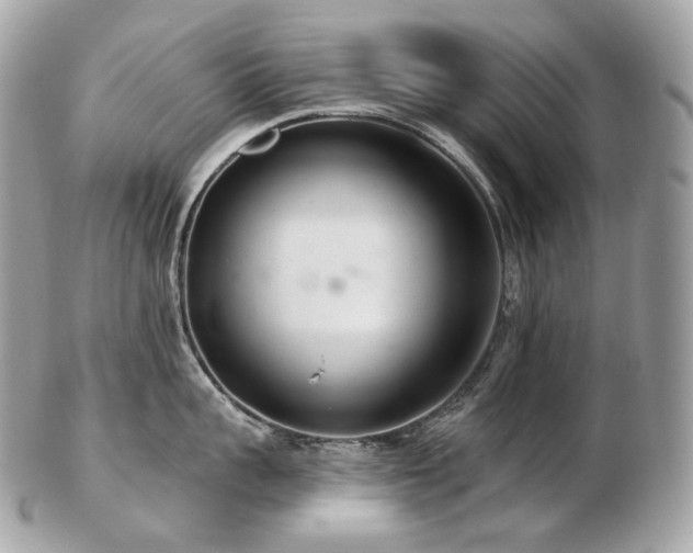 X0000103280959200808291308