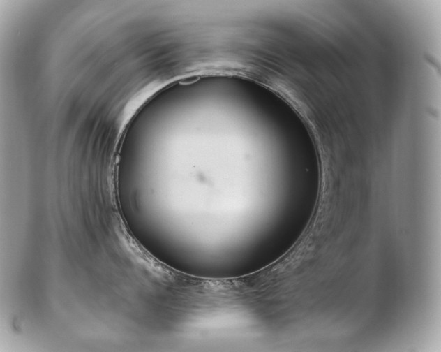 X0000103280960200808291308