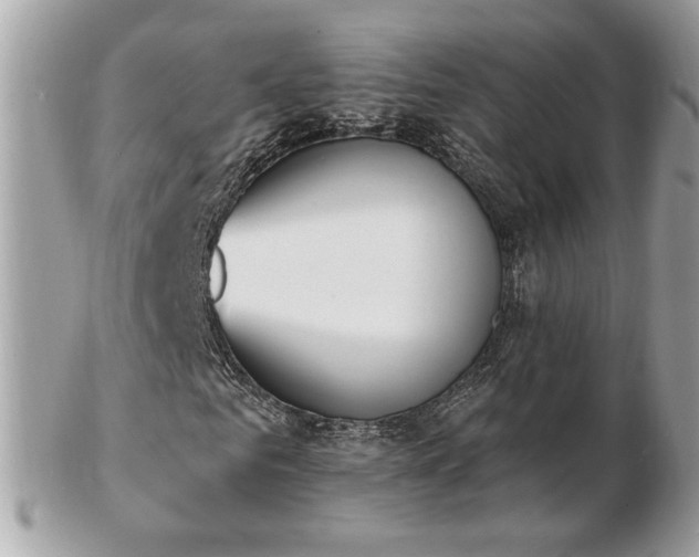 X0000103280961200808291308