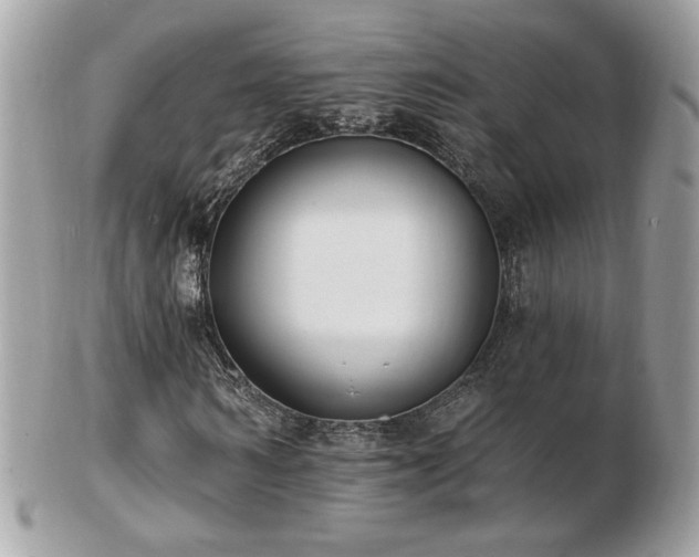 X0000103280962200808291308