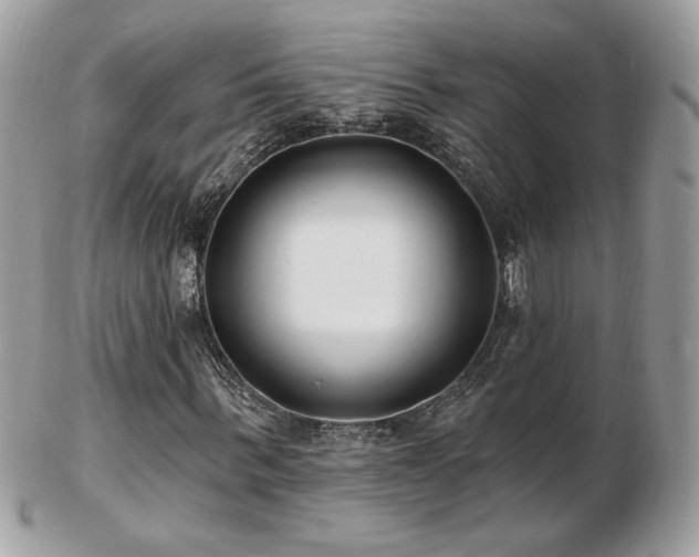 X0000103280963200808291308