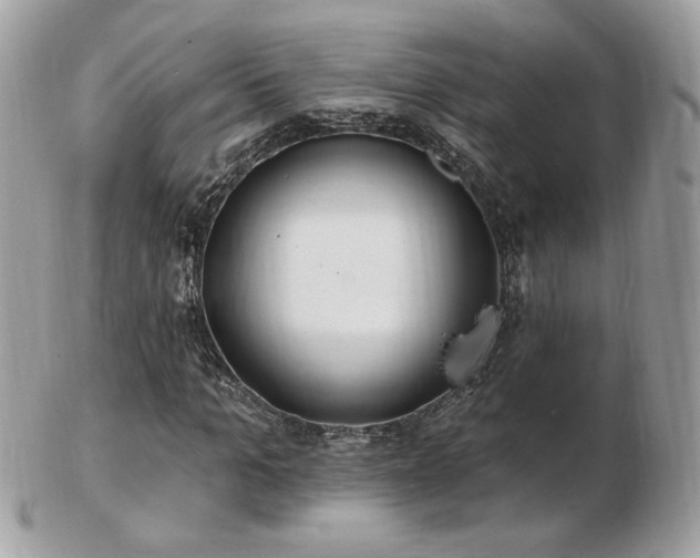 X0000103280965200808291308