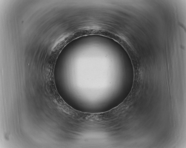 X0000103280967200808291308