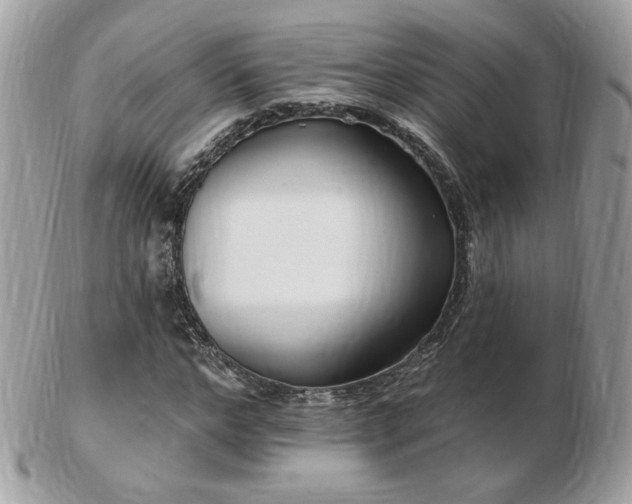 X0000103280968200808291308