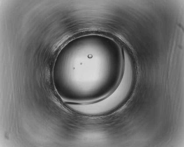 X0000103280969200808291308