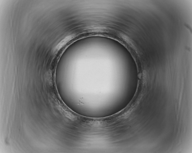 X0000103280970200808291308