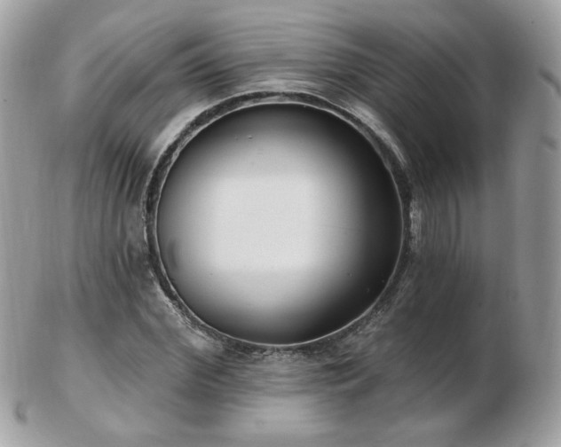 X0000103280972200808291308