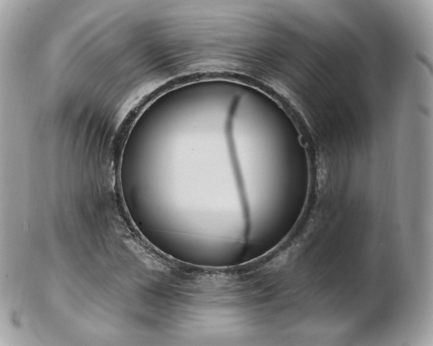 X0000103280973200808291308