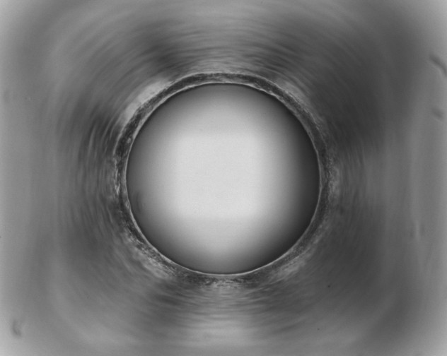 X0000103280974200808291308