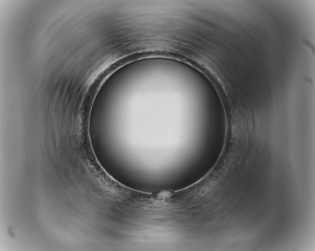 X0000103280975200808291308