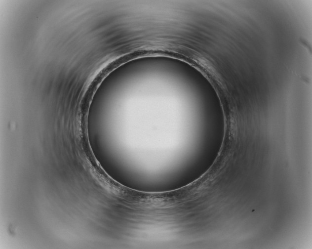 X0000103280976200808291308