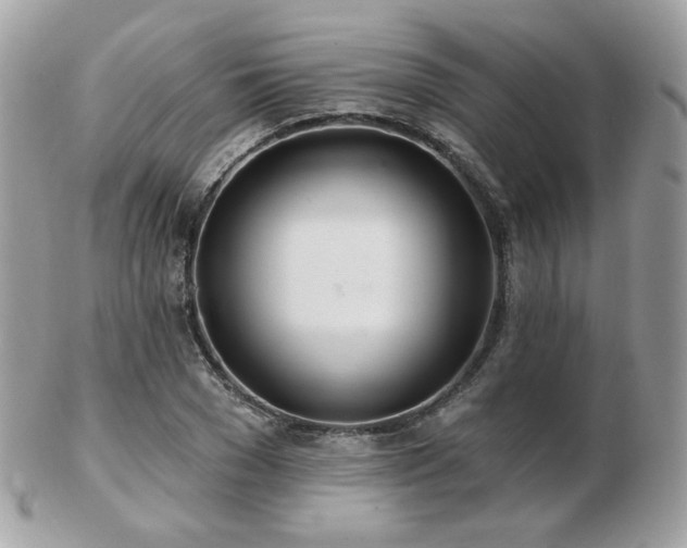 X0000103280977200808291308