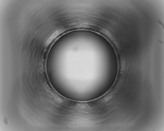 X0000103280978200808291307