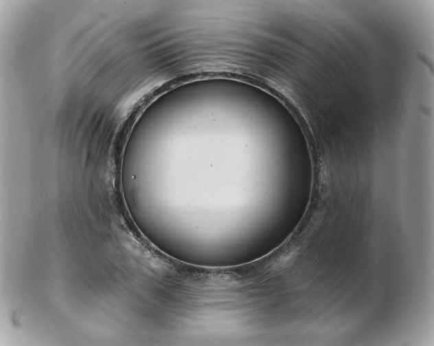 X0000103280979200808291307