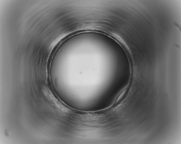 X0000103280980200808291307