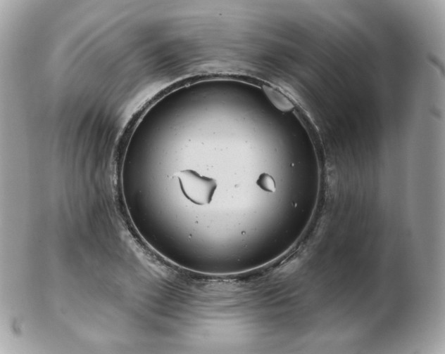 X0000103280981200808291307