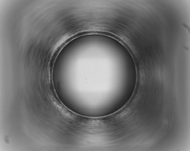 X0000103280982200808291307