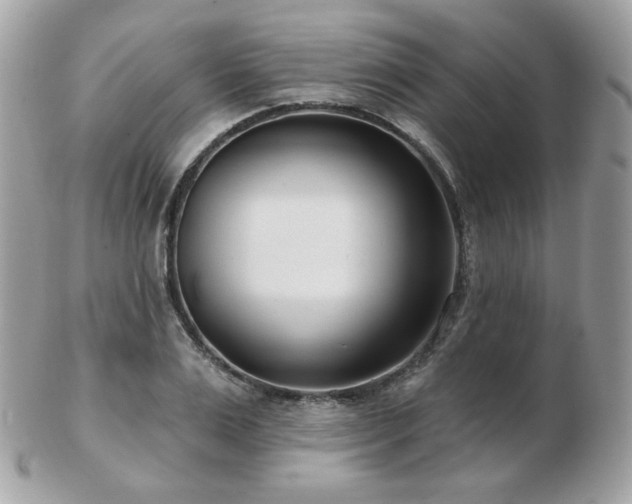 X0000103280983200808291307