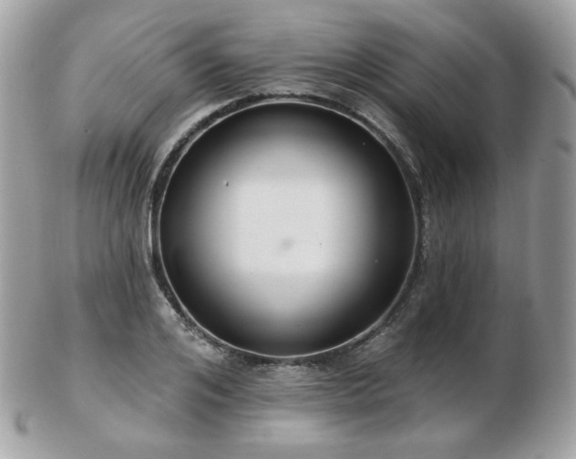 X0000103280984200808291307