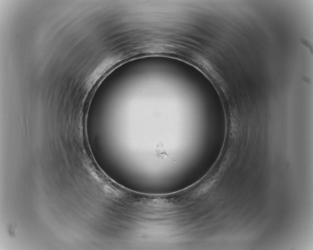 X0000103280986200808291307