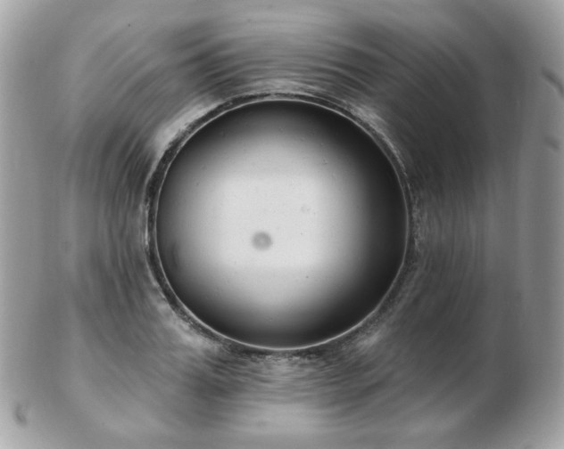 X0000103280987200808291307