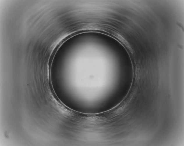 X0000103280988200808291307