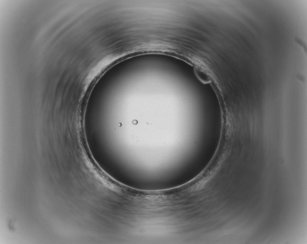 X0000103280989200808291307