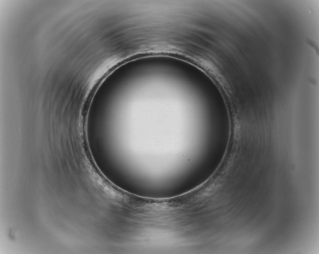 X0000103280990200808291307