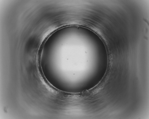 X0000103280991200808291307