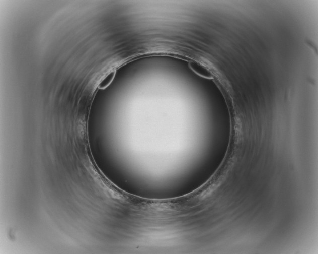 X0000103280993200808291307