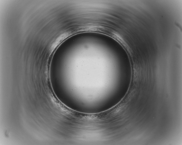 X0000103280994200808291307