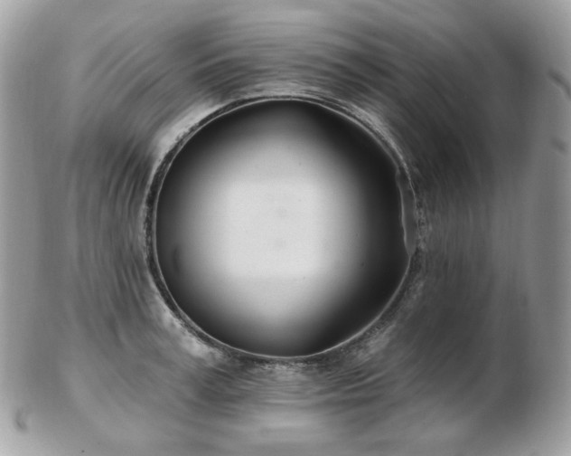 X0000103280995200808291307