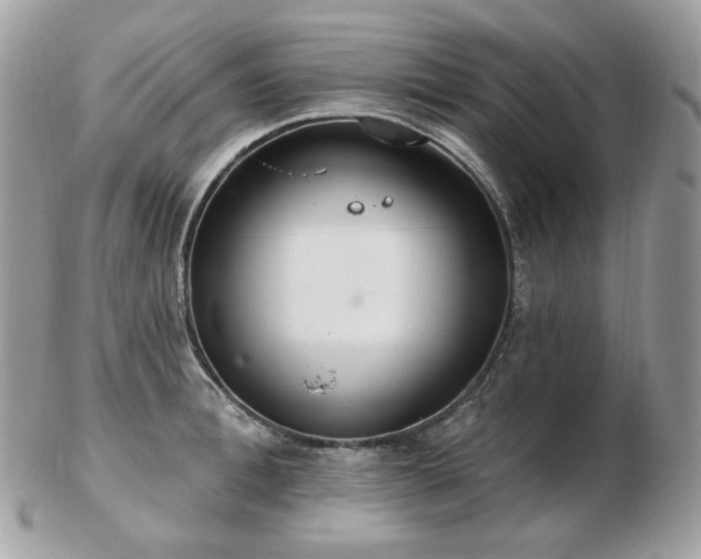 X0000103280996200808291307