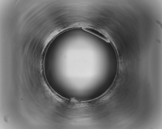 X0000103280997200808291307