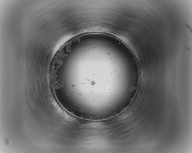 X0000103280998200808291307