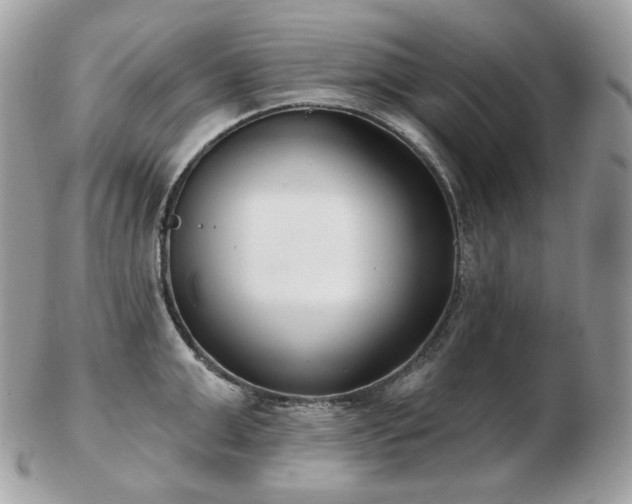 X0000103280999200808291307