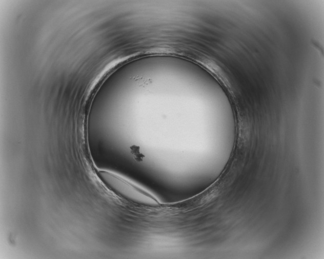 X0000103281000200808291307