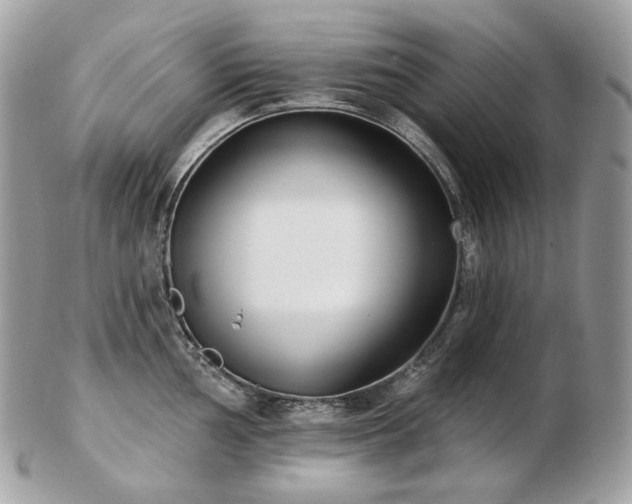 X0000103281002200808291307