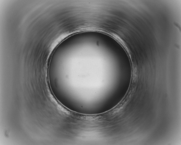 X0000103281005200808291307