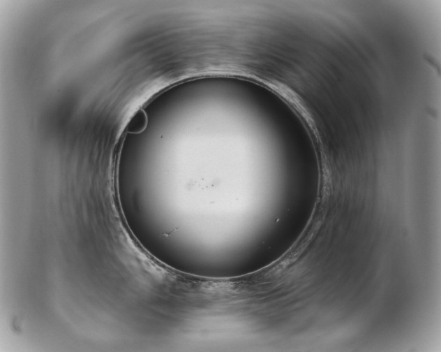 X0000103281006200808291307