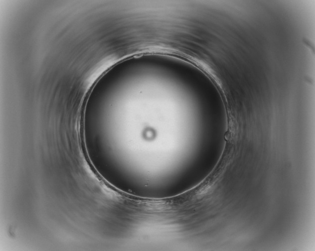 X0000103281007200808291307