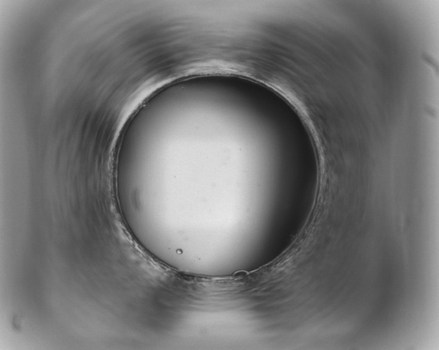 X0000103281008200808291307