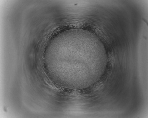 X0000103281009200808291306