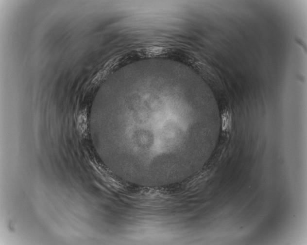 X0000103281011200808291306