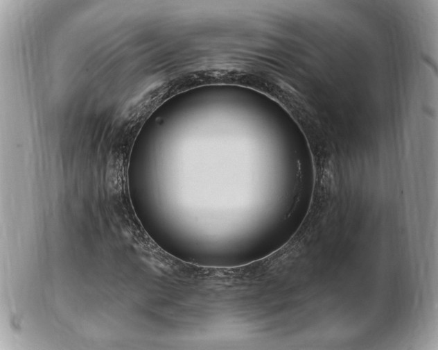 X0000103281014200808291306