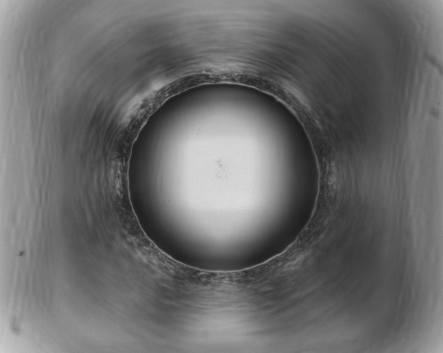 X0000103281016200808291307